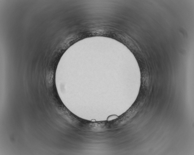 X0000111190660200908121048