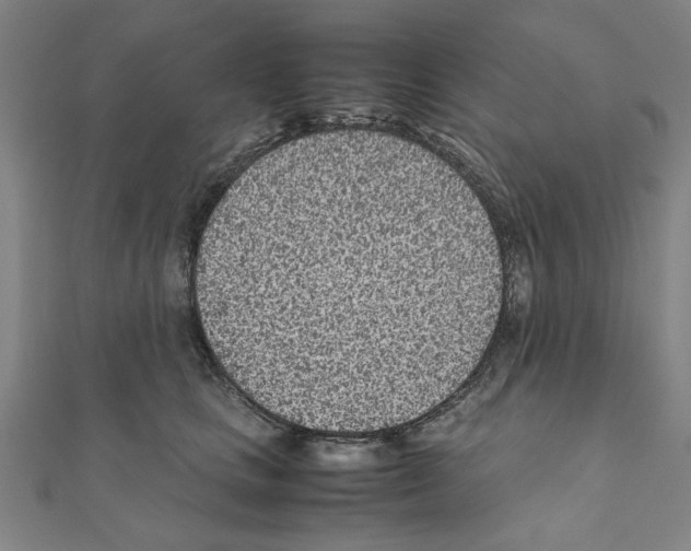 X0000111190661200908121048
