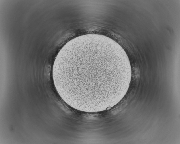 X0000111190664200908121048