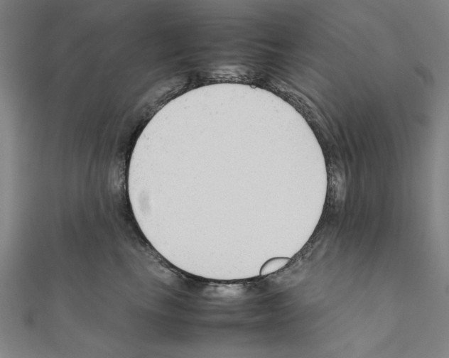 X0000111190665200908121048