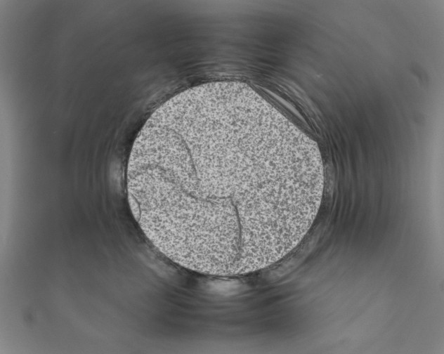 X0000111190669200908121048