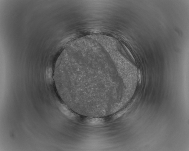 X0000111190670200908121048