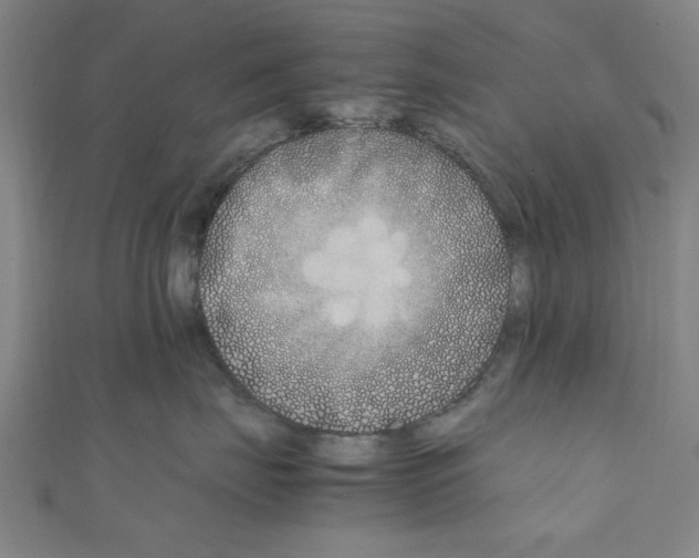 X0000111190671200908121049