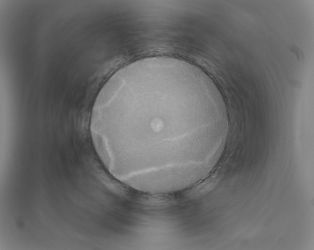 X0000111190672200908121049