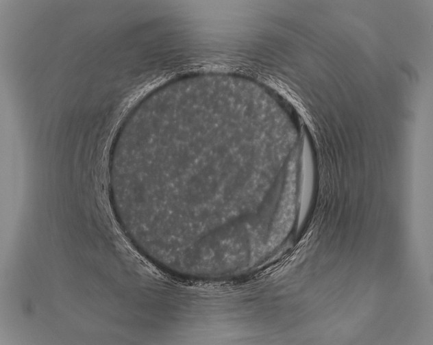 X0000111190673200908121048