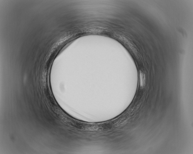 X0000111190675200908121048
