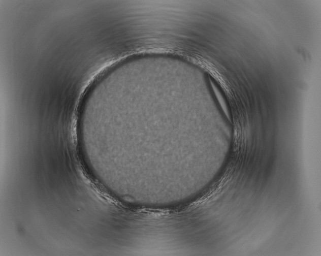 X0000111190676200908121048