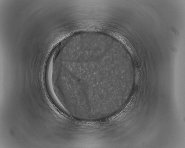 X0000111190677200908121048