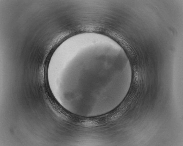 X0000111190678200908121048