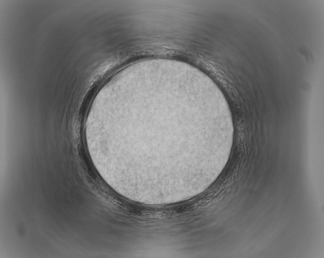 X0000111190679200908121048