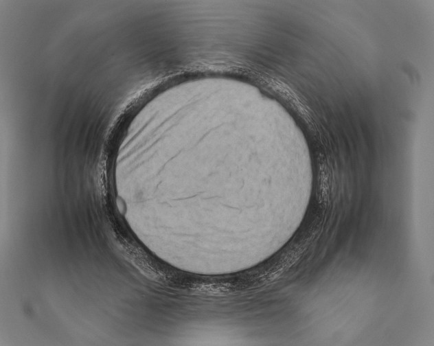 X0000111190680200908121048