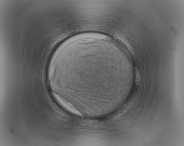 X0000111190681200908121048