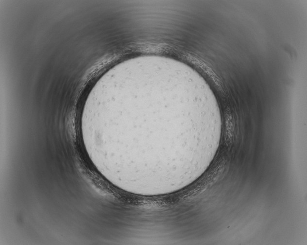 X0000111190682200908121047