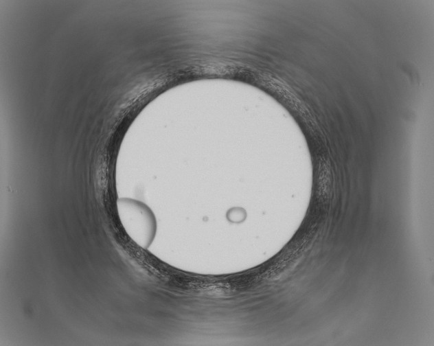 X0000111190683200908121047