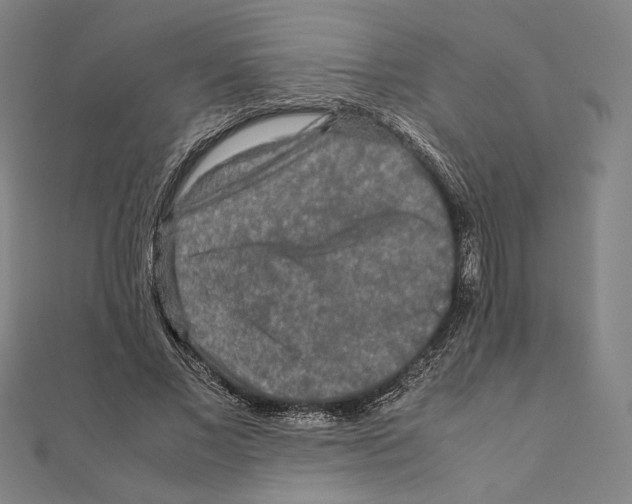 X0000111190685200908121047