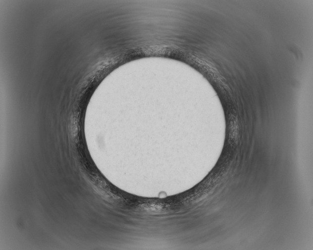 X0000111190687200908121047