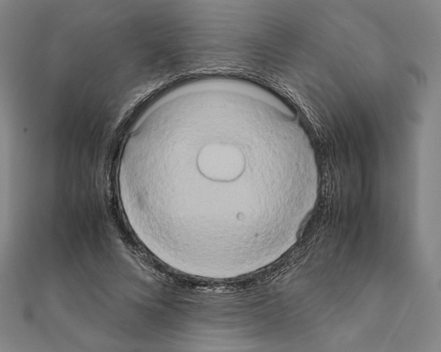 X0000111190688200908121047
