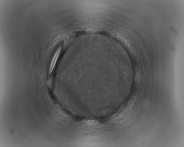 X0000111190689200908121047