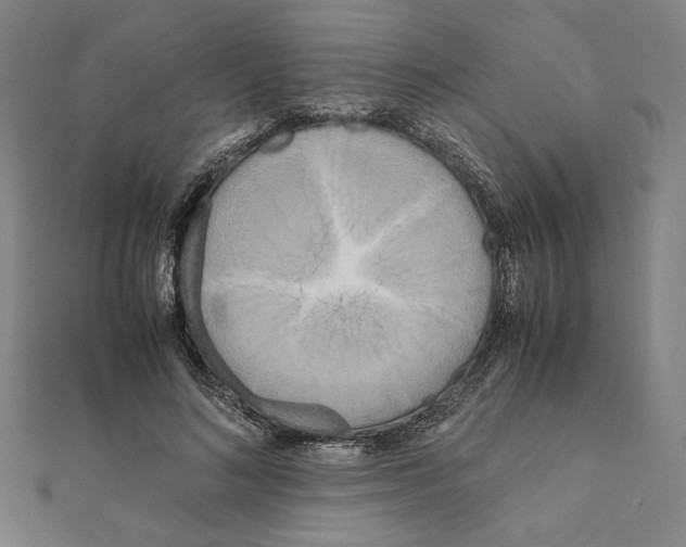 X0000111190692200908121047