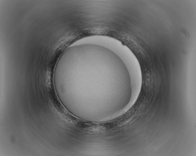 X0000111190696200908121047