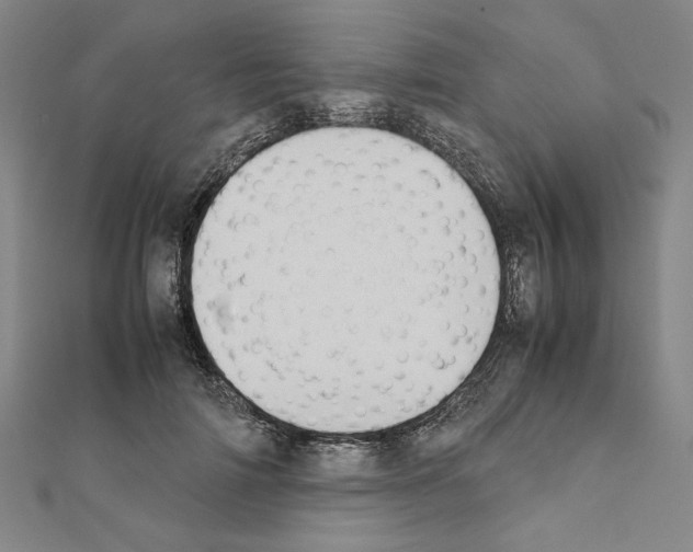 X0000111190698200908121047