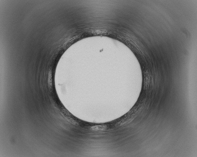 X0000111190700200908121047