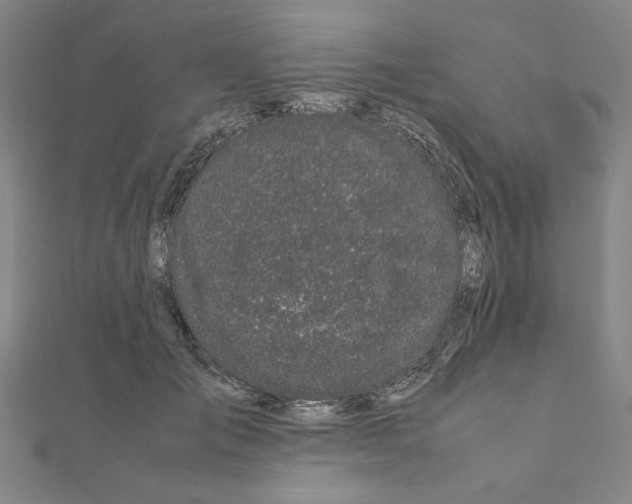 X0000111190701200908121047