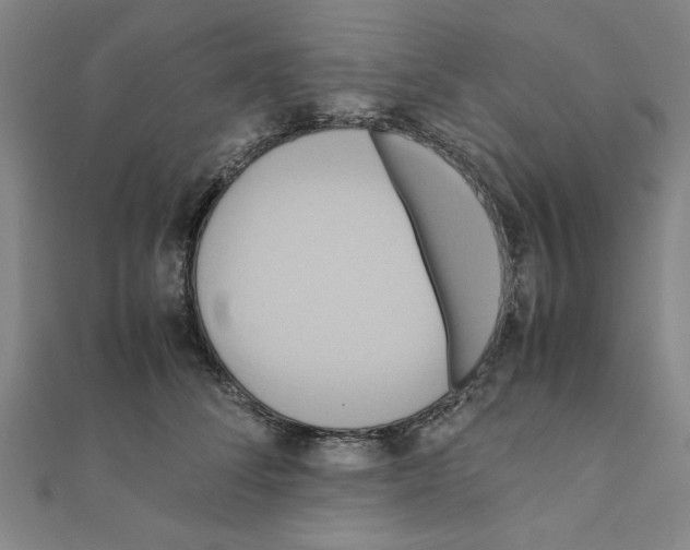 X0000111190708200908121047
