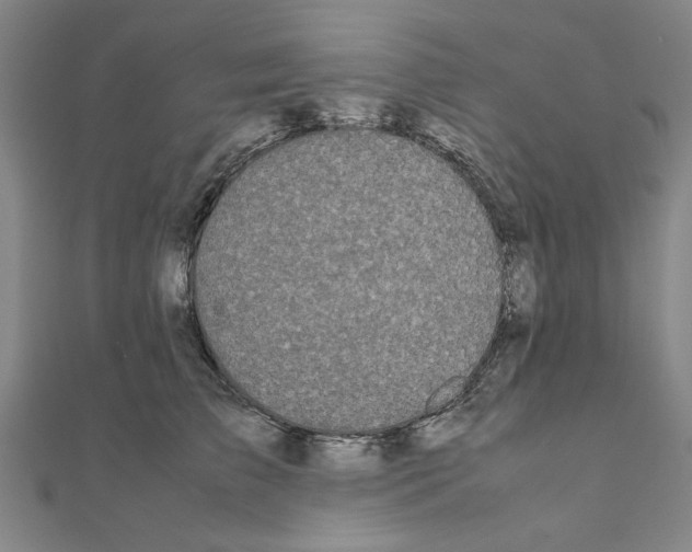 X0000111190709200908121047