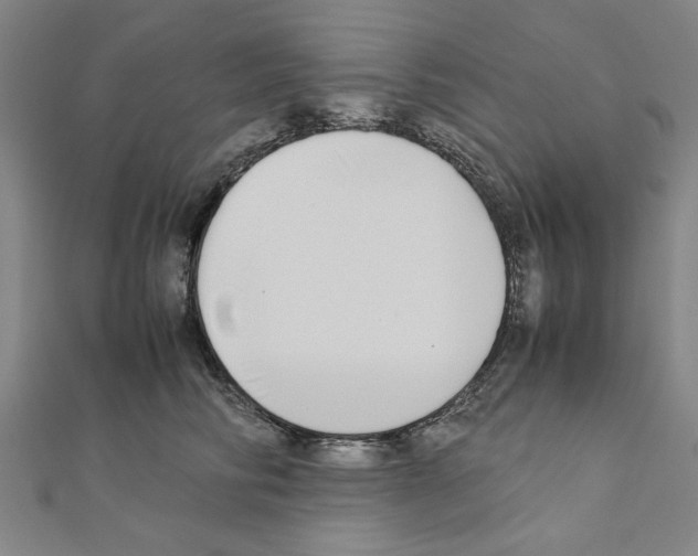 X0000111190710200908121047