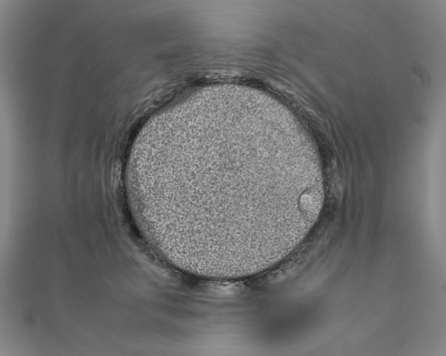 X0000111190711200908121047