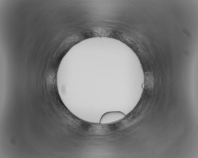 X0000111190713200908121047
