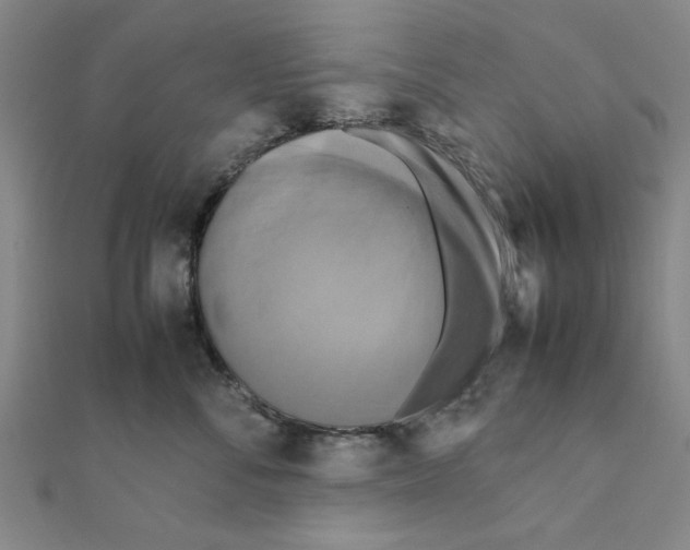 X0000111190716200908121047