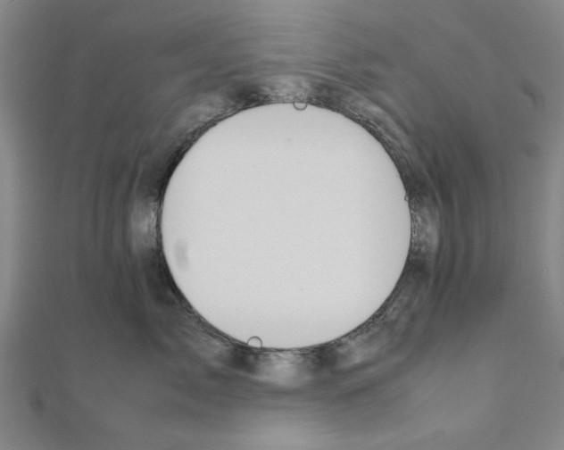 X0000111190717200908121047
