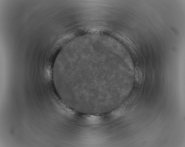 X0000111190718200908121047