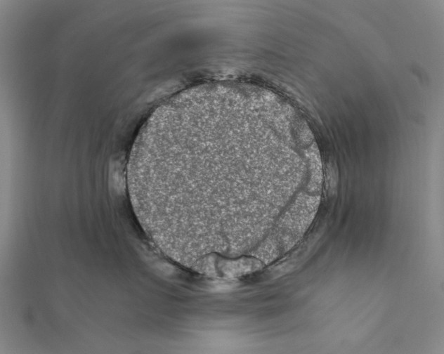 X0000111190719200908121047