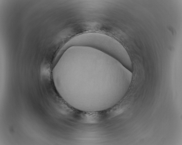 X0000111190720200908121047