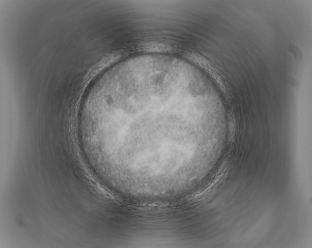 X0000111190721200908121046