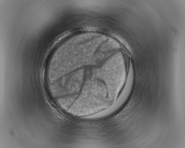 X0000111190722200908121046