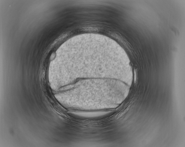 X0000111190723200908121046