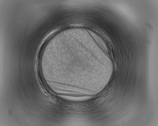 X0000111190724200908121046