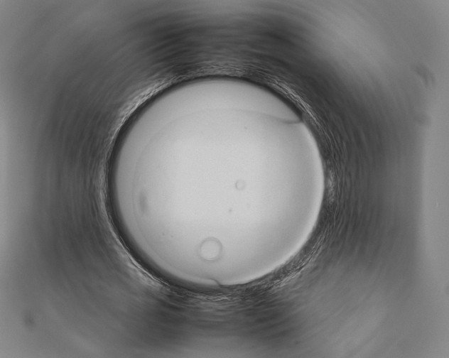 X0000111190725200908121046