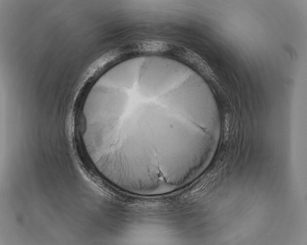 X0000111190726200908121046