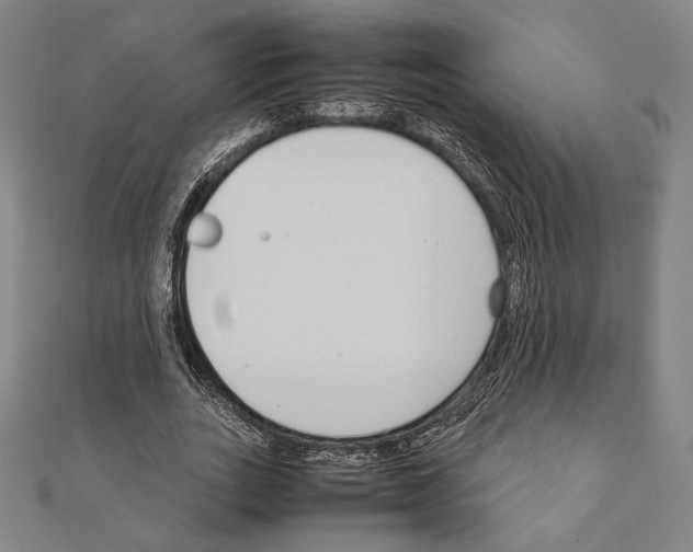 X0000111190727200908121046