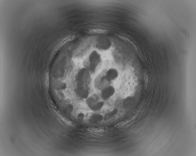 X0000111190729200908121046