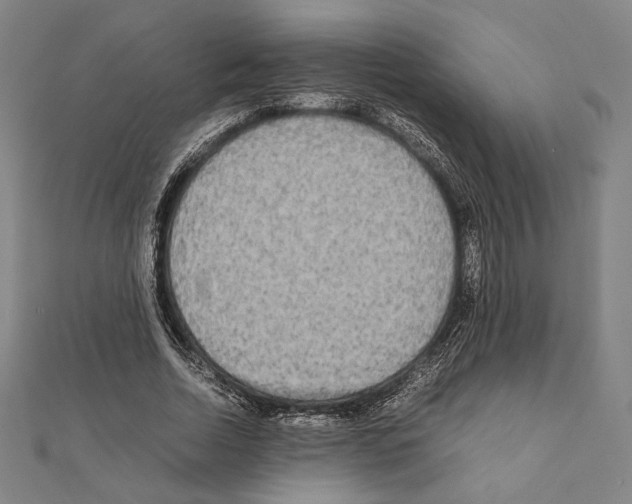 X0000111190730200908121046