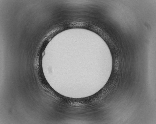 X0000111190731200908121046