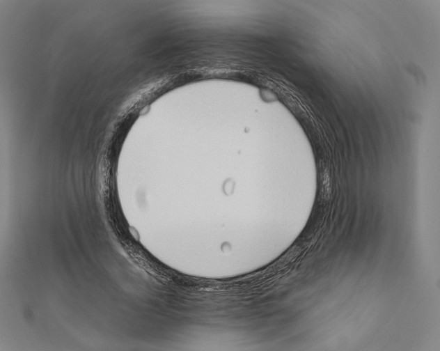 X0000111190732200908121046