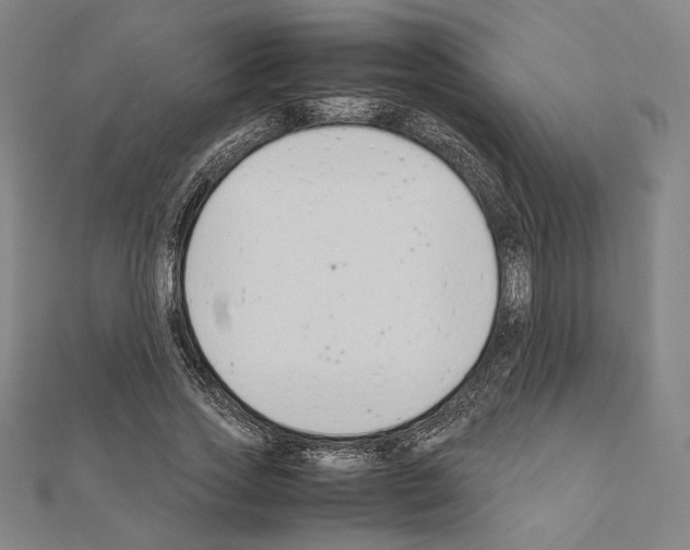 X0000111190733200908121046
