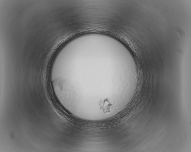 X0000111190736200908121047